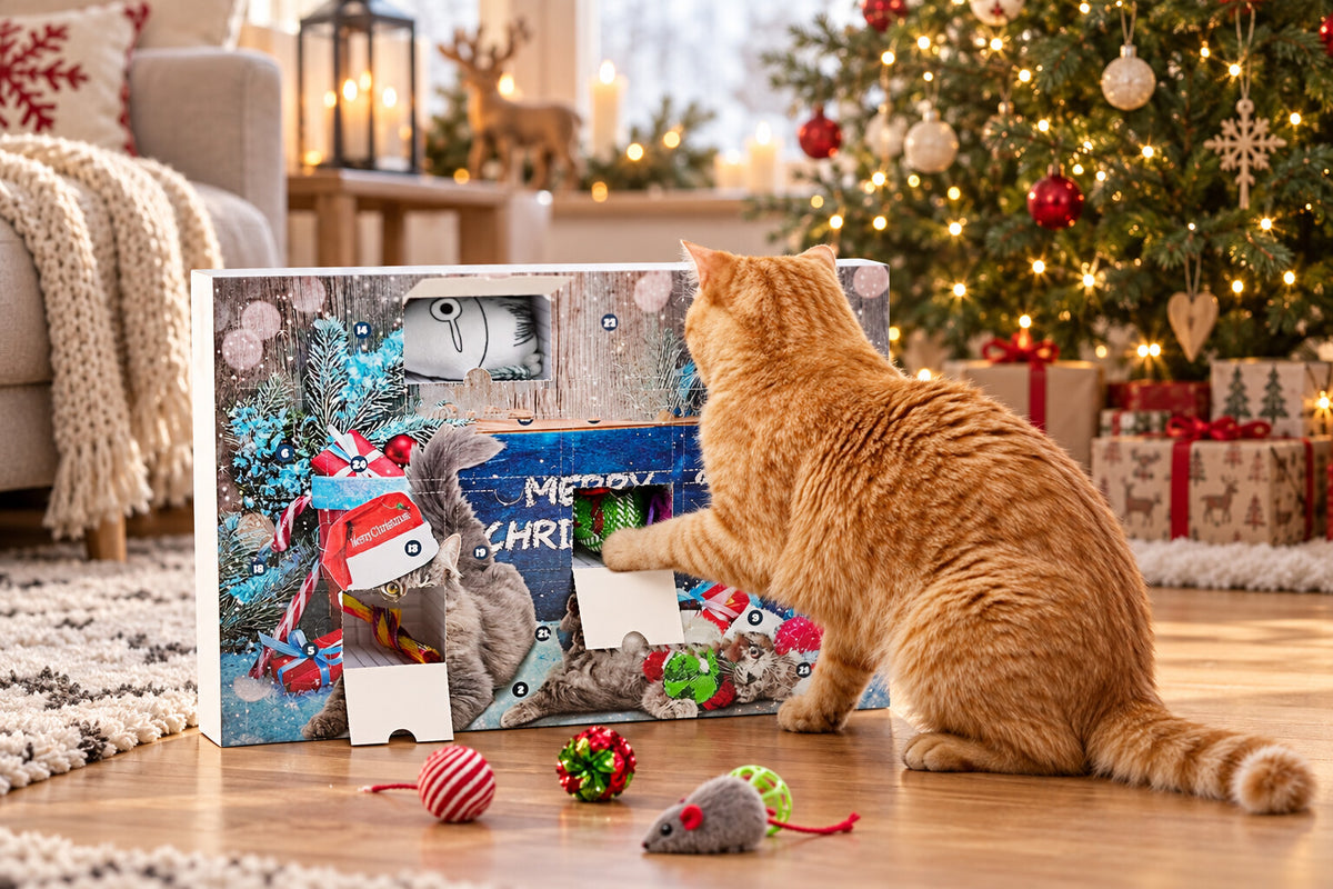 Rote Katze greift mit der Pfote in ein offenes Türchen des Katzen Adventskalenders vor dem Weihnachtsbaum